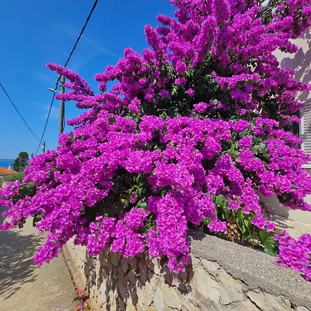 Belvedere 아파트 실바