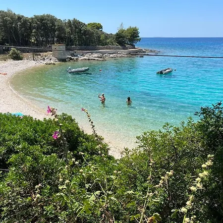 Апартаменты Belvedere