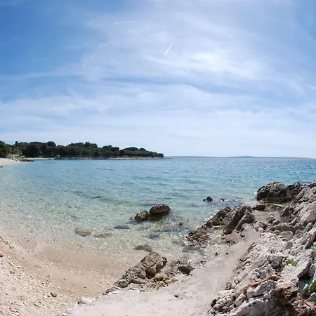 Belvedere * Силба