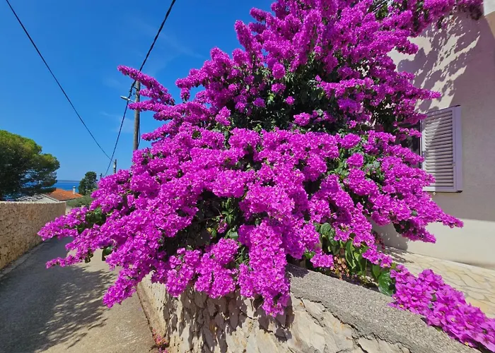 Belvedere Апартаменты Силба