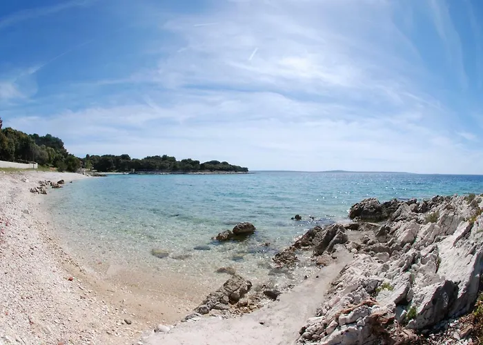 Belvedere * سيلبا